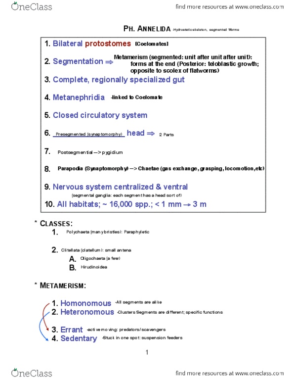 BIOL 205 Lecture Notes - Lecture 5: Ventral Nerve Cord, Peritoneum, Proprioception thumbnail
