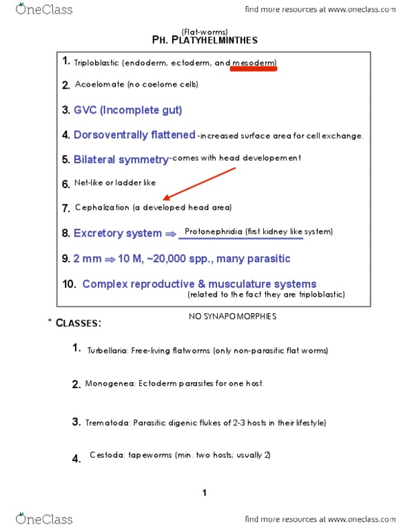 BIOL 205 Lecture Notes - Lecture 9: Internal Fertilization, Hermaphrodite, Symmetry In Biology thumbnail