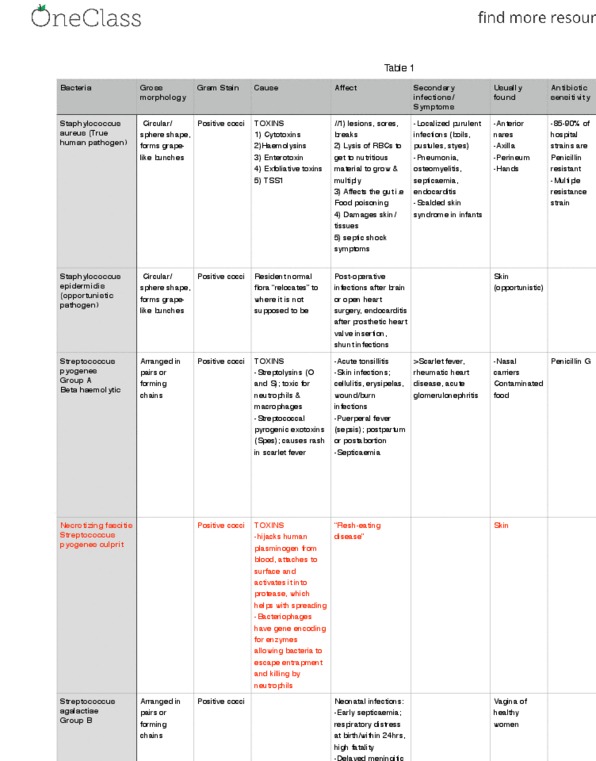 HSS 1100 Lecture Notes - Lecture 4: Perineum, Doxycycline, Pharynx thumbnail