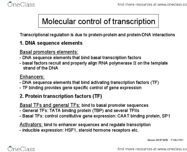 MCB 2050 Lecture Notes - Lecture 11: Rna Polymerase Iii, Basic Helix-Loop-Helix, Intron thumbnail