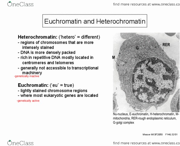 MCB 2050 Lecture Notes - Lecture 12: Histone Deacetylase, Cytosine, Transferase thumbnail