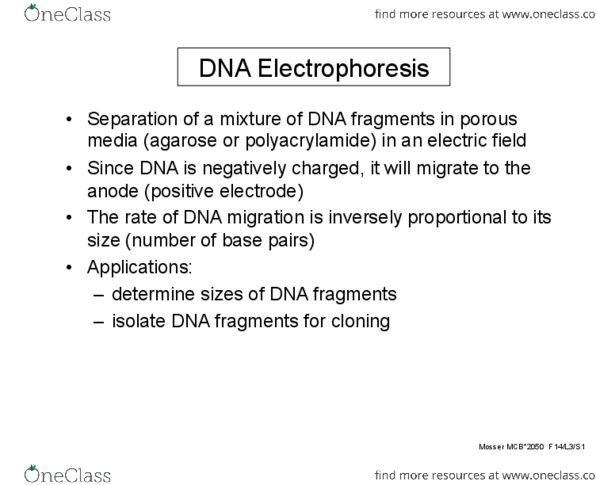 BIOL 2400 Lecture Notes - Lecture 3: Dna Paternity Testing, Genbank, Gang Of Youths thumbnail