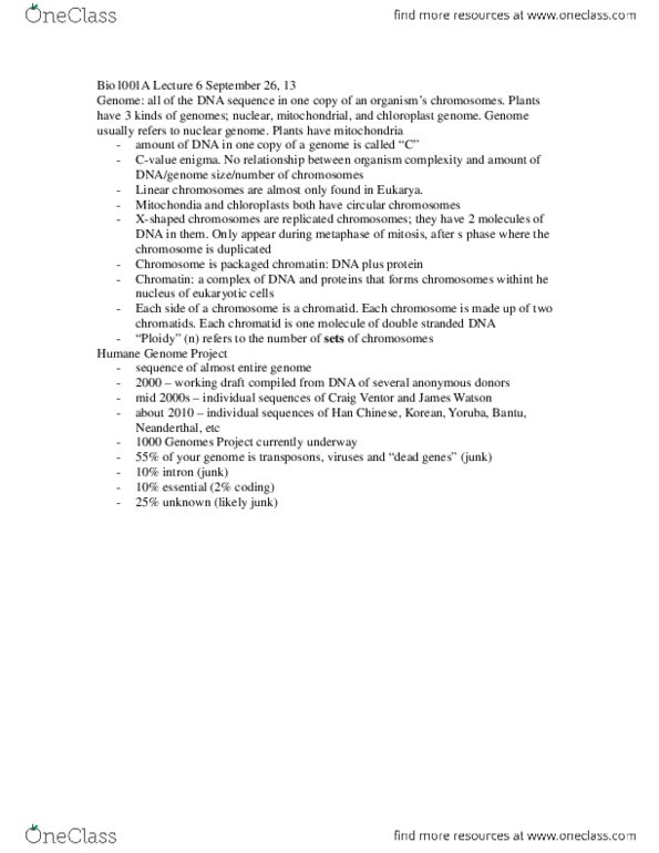 Biology 1001A Lecture Notes - Lecture 6: Chromatin, Intron, Ploidy thumbnail