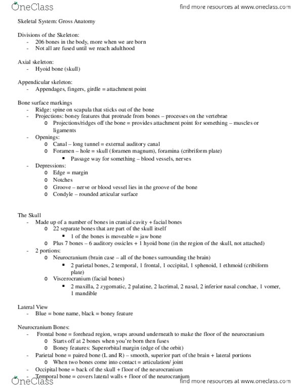 KINESIOL 1A03 Lecture Notes - Lecture 27: Neurocranium, Cribriform Plate thumbnail