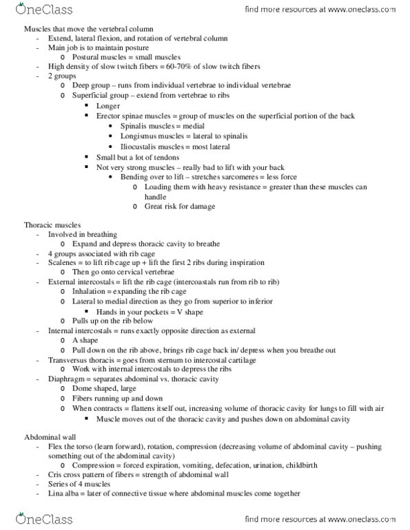 KINESIOL 1A03 Lecture Notes - Lecture 23: Defecation, Scapula, Anatomical Terms Of Motion thumbnail