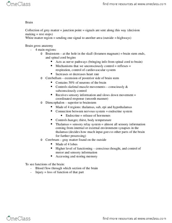 KINESIOL 1A03 Lecture Notes - Lecture 19: Thalamus, Midbrain, Brainstem thumbnail