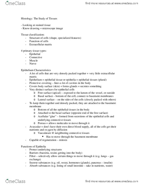 KINESIOL 1A03 Lecture Notes - Lecture 5: Microvillus, Histology thumbnail