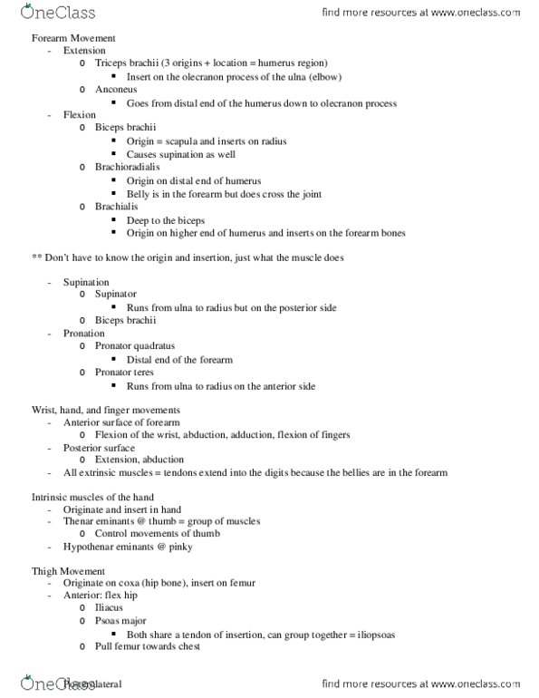 KINESIOL 1A03 Lecture Notes - Lecture 18: Anconeus Muscle, Supinator Muscle, Anatomical Terms Of Motion thumbnail