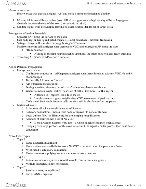 KINESIOL 1A03 Lecture Notes - Lecture 9: Neurotransmission, Exocytosis thumbnail