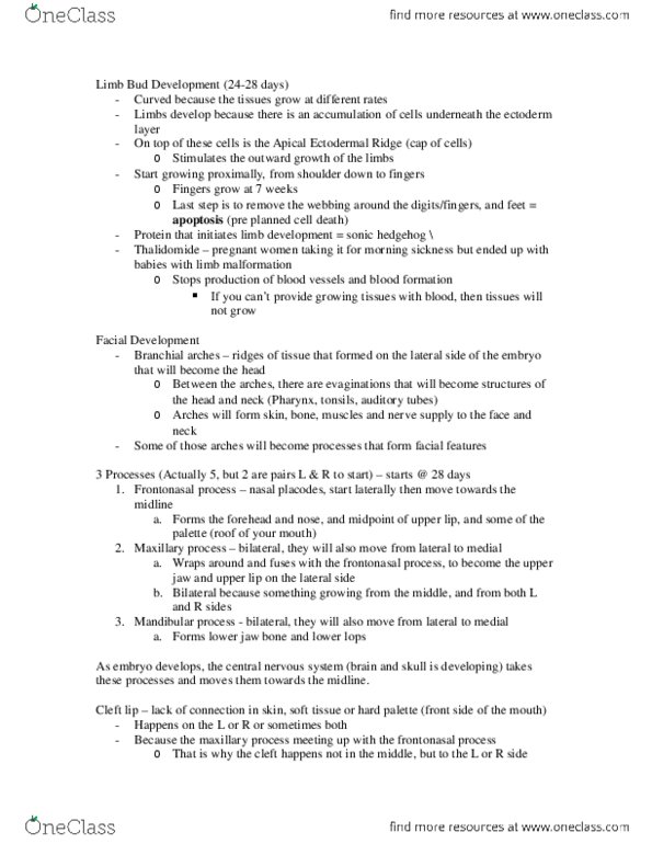 KINESIOL 1A03 Lecture Notes - Lecture 3: Pharynx, Apoptosis thumbnail