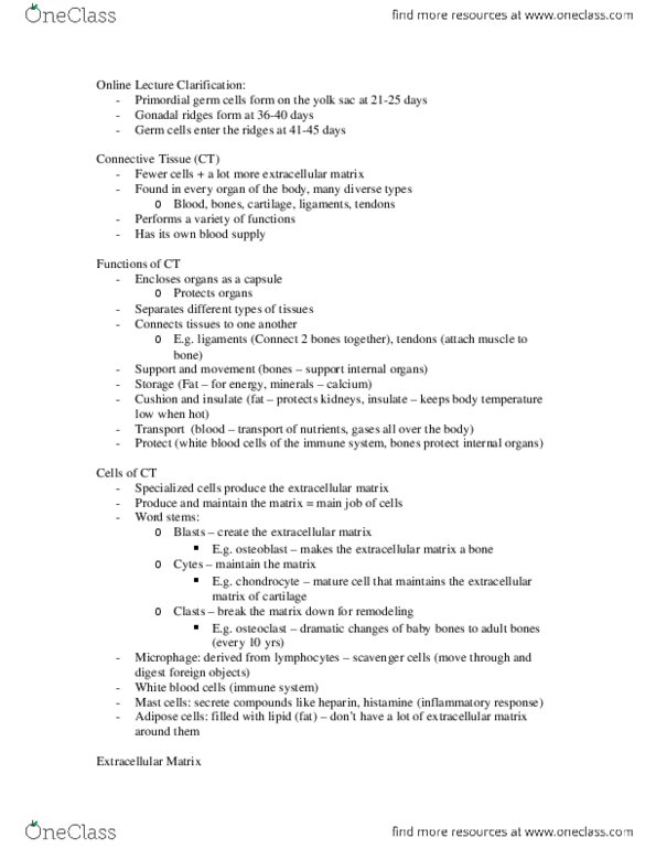 KINESIOL 1A03 Lecture Notes - Lecture 6: Dermis thumbnail