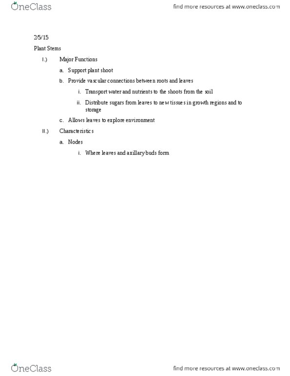 PLNT_S 2125 Lecture Notes - Lecture 4: Meristem, Axillary Bud, Vascular Cambium thumbnail