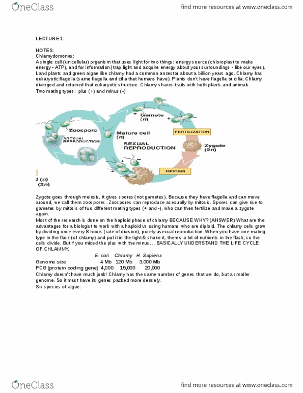 Biology 1002B Lecture Notes - Lecture 1: Cell Membrane, Multicellular Organism, Channelrhodopsin thumbnail