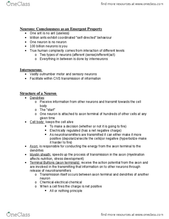 PSY100H1 Lecture Notes - Lecture 5: Myelin, Axon Terminal, Reuptake thumbnail