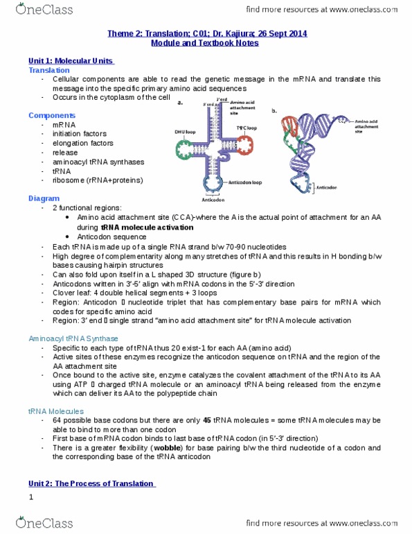 BIOLOGY 1A03 Chapter Notes - Chapter 5: Aminoacyl-Trna, Transfer Rna, Elongation Factor thumbnail