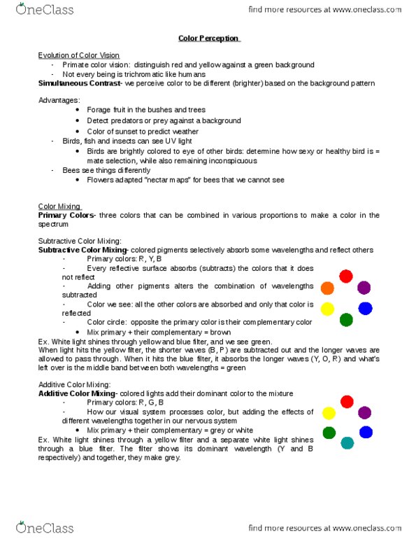 PSYCH 1XX3 Chapter Notes - Chapter 6: Complementary Colors, Primary Color, Additive Color thumbnail