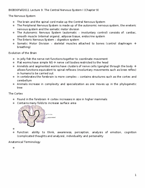 BIOB34H3 Lecture Notes - Lecture 9: Spinal Nerve, Spinal Cord, Lateral Ventricles thumbnail