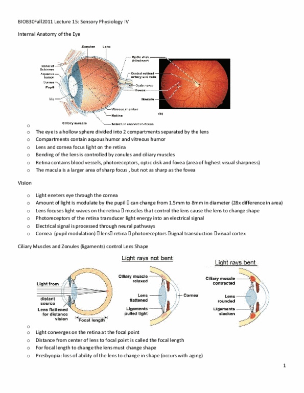BIOB34H3 Lecture Notes - Lecture 15: Ciliary Muscle, Retina, Rod Cell thumbnail