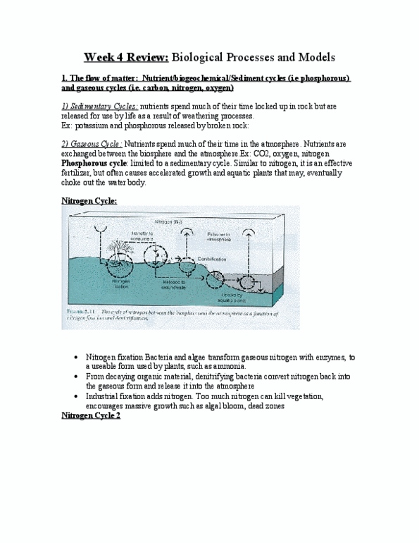 GEOG 1220 Lecture Notes - Lecture 4: Denitrification, Photosynthesis, Outgassing thumbnail