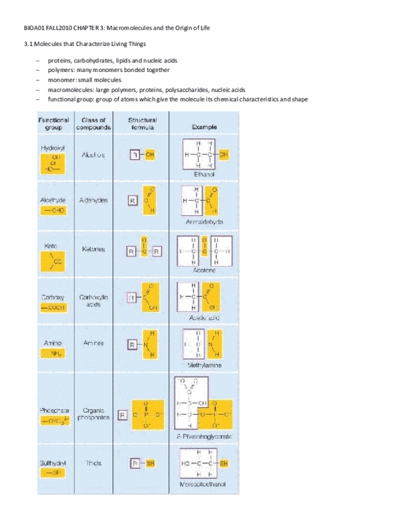 BIOA01H3 Chapter Notes - Chapter 3: Groupon, Thymine, Chitin thumbnail