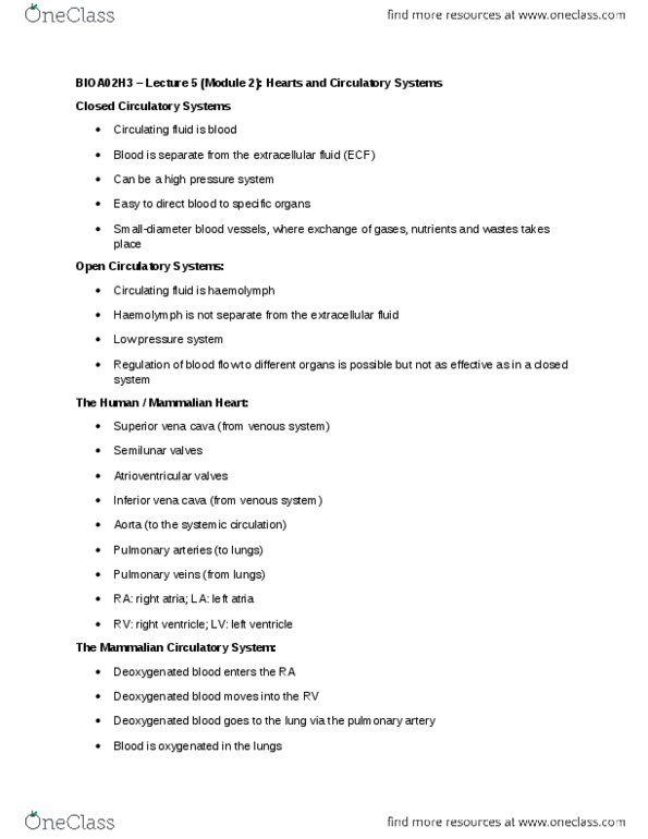 BIOA02H3 Lecture Notes - Lecture 16: Atrioventricular Node, Hemolymph, Aorta thumbnail