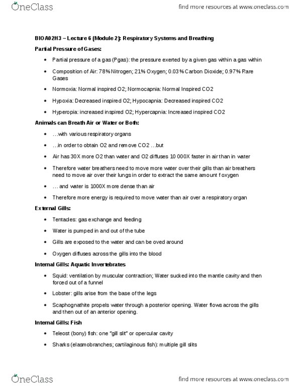 BIOA02H3 Lecture Notes - Lecture 17: Trachea, Hypocapnia, Air Sacs thumbnail