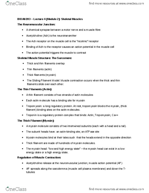 BIOA02H3 Lecture Notes - Lecture 15: Neuromuscular Junction, Hydrolysis, Troponin thumbnail