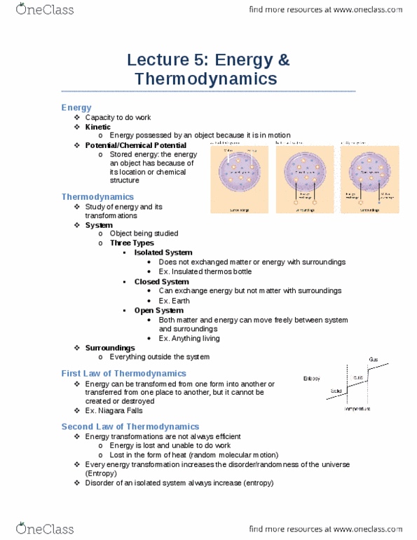 Biology 1002B Lecture Notes - Lecture 5: Thermodynamics, Exothermic Process, Enthalpy thumbnail