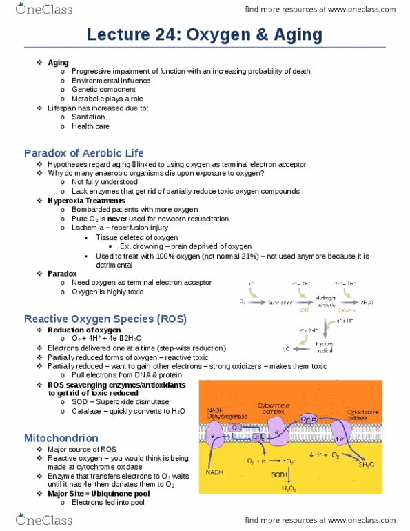 Biology 1002B Lecture Notes - Lecture 24: Amyotrophic Lateral Sclerosis, Electron Acceptor, Cytochrome C Oxidase thumbnail