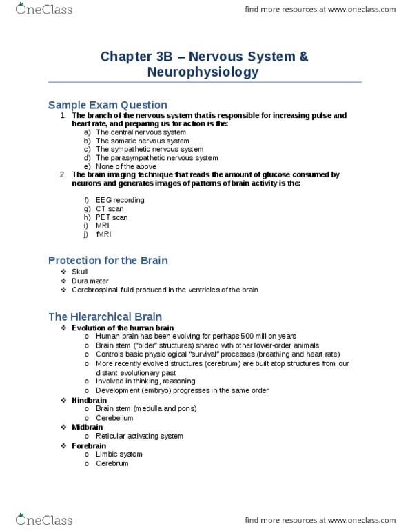 Psychology 1000 Lecture Notes - Lecture 3: Primary Motor Cortex, Prefrontal Cortex, Reticular Formation thumbnail