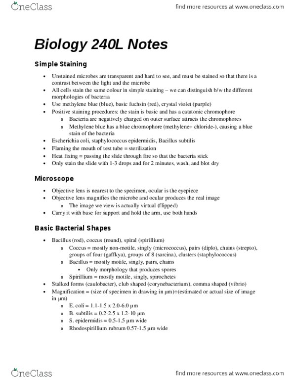 BIOL240 Lecture Notes - Lecture 1: Methylene Blue, Enterococcus Faecalis, Enterobacter Aerogenes thumbnail