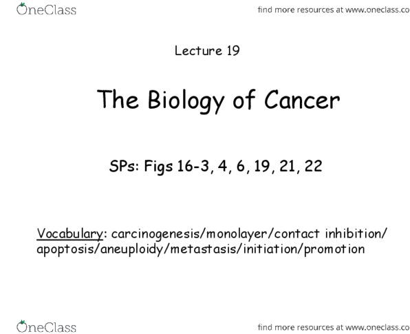 BIOB11H3 Lecture Notes - Lecture 19: Benign Tumor, Contact Inhibition, Aneuploidy thumbnail