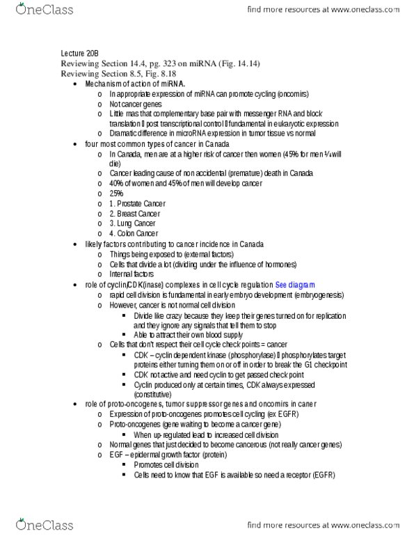 Biology 1002B Lecture Notes - Lecture 20: Cyclin-Dependent Kinase, Tumor Suppressor Gene, Oncogene thumbnail