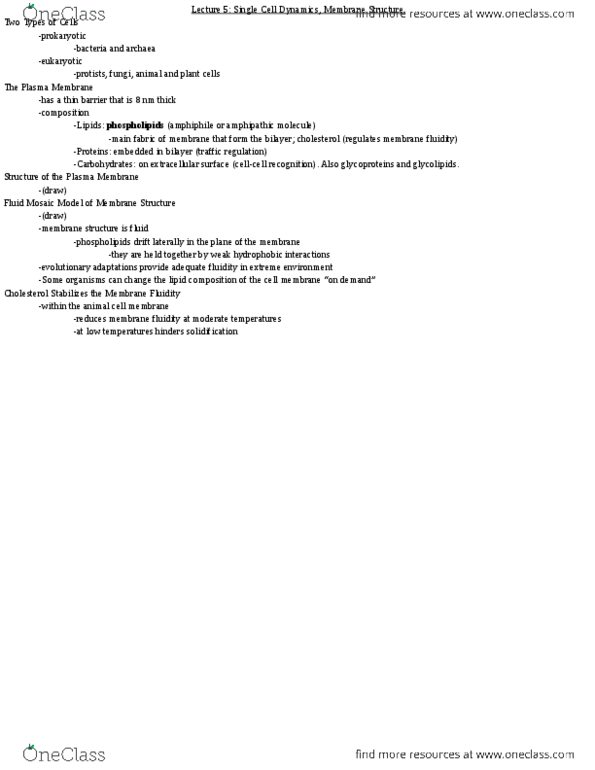 BIO SCI 93 Lecture Notes - Lecture 5: Glycolipid, Amphiphile, Archaea thumbnail