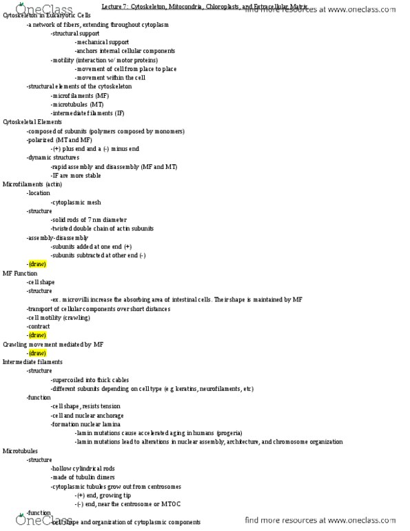 BIO SCI 93 Lecture Notes - Lecture 7: Nuclear Lamina, Intermediate Filament, Progeria thumbnail