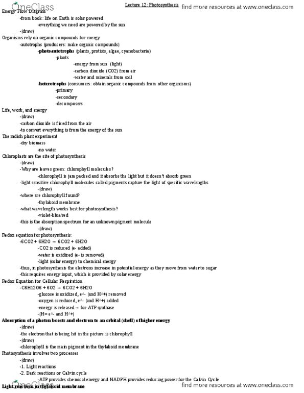 BIO SCI 93 Lecture Notes - Lecture 12: Thylakoid, Cellular Respiration, Chlorophyll thumbnail