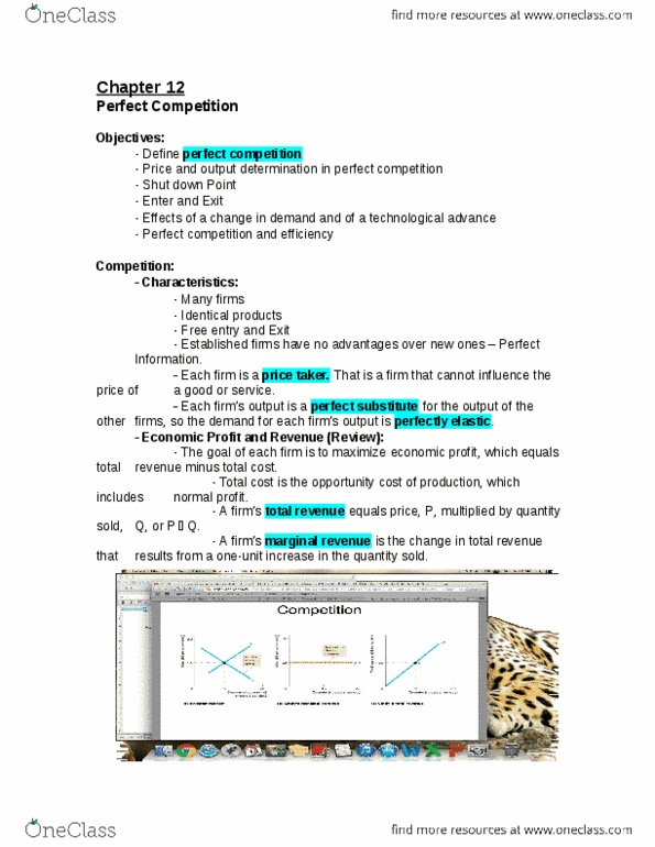 ECON 1000 Lecture Notes - Lecture 12: Perfect Competition, Market Power, Marginal Revenue thumbnail