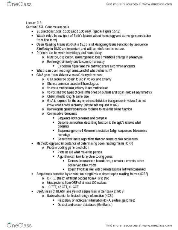 Biology 1002B Lecture Notes - Lecture 21: Open Reading Frame, Dna Annotation, Asymmetric Cell Division thumbnail