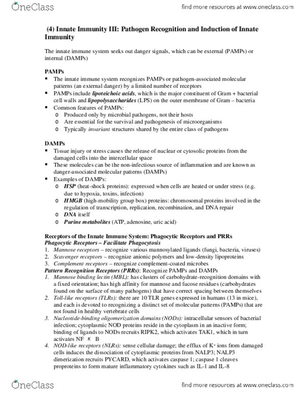 HTHSCI 3I03 Chapter Notes - Chapter 3: Pattern Recognition Receptor, Nalp3, Caspase 1 thumbnail