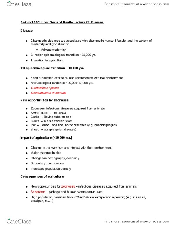 ANTHROP 1AA3 Lecture Notes - Lecture 20: Porotic Hyperostosis, Mycobacterium Bovis, Epidemiological Transition thumbnail