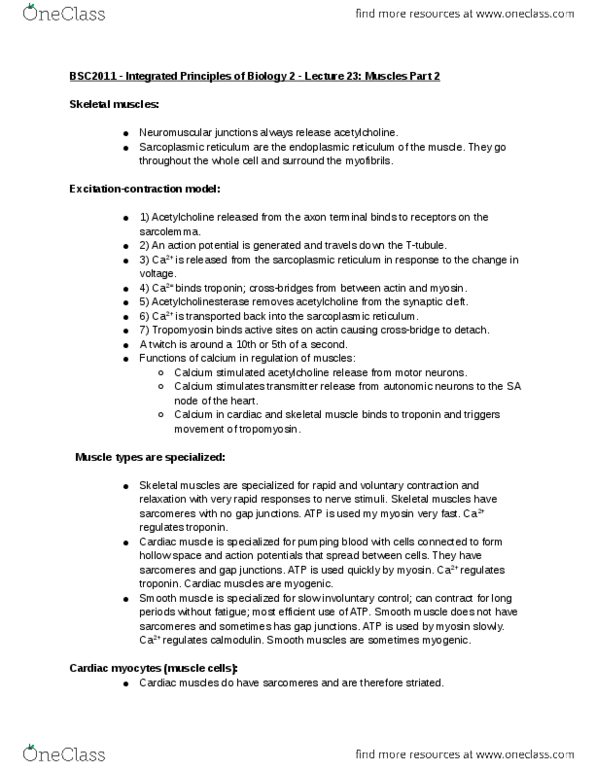 BSC 2011 Lecture Notes - Lecture 23: Cardiac Muscle Cell, Endoplasmic Reticulum, Gap Junction thumbnail