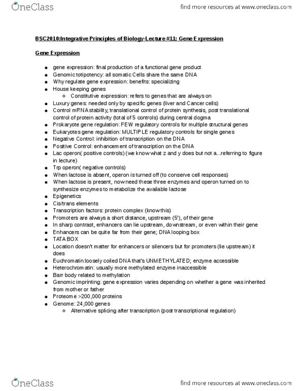 BSC 2010 Lecture Notes - Lecture 11: Lac Operon, Central Dogma Of Molecular Biology, Operon thumbnail