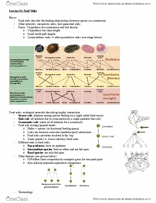 Biology 3445F Lecture Notes - Lecture 15: Coevolution, Omnivore, Species Richness thumbnail