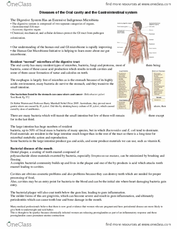 Biology 1290B Lecture Notes - Lecture 12: Feces, Campylobacter, Shigellosis thumbnail