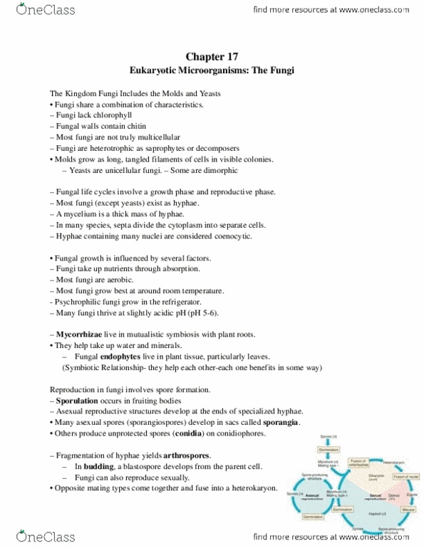 Biology 1290B Lecture Notes - Lecture 17: Vaginitis, Itch, Conidium thumbnail