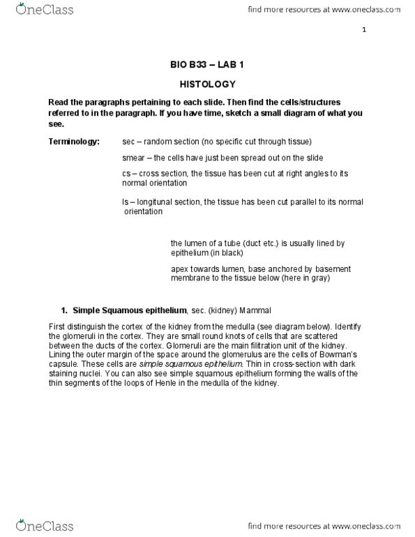 BIOB33H3 Lecture Notes - Lecture 1: Hyaline, Osteon, Synovial Joint thumbnail