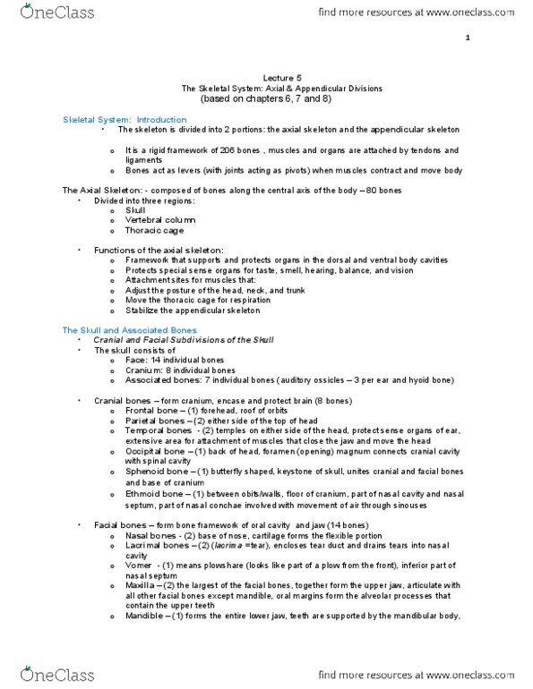 BIOB33H3 Lecture Notes - Lecture 5: Scaphoid Bone, Phalanx Bone, Metacarpal Bones thumbnail