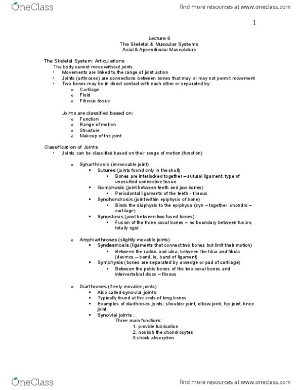 BIOB33H3 Lecture Notes - Lecture 6: Thyroid Cartilage, Semispinalis Muscles, Occipital Bone thumbnail