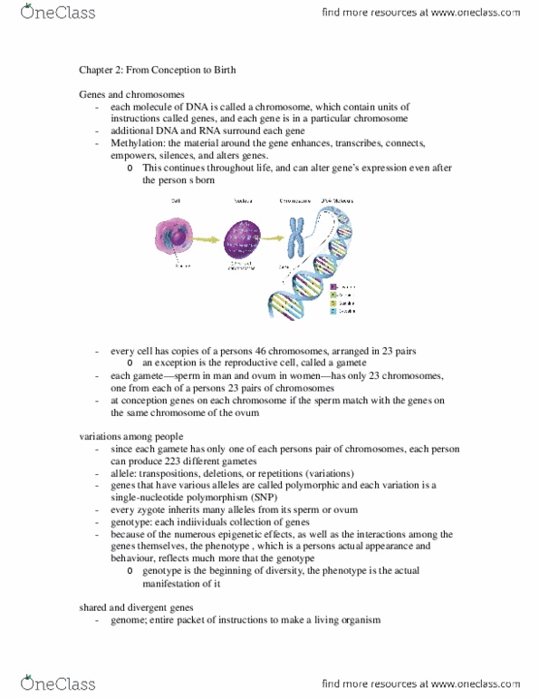 FRHD 1010 Lecture Notes - Lecture 2: Chromosome, Near-Sightedness, Teratology thumbnail