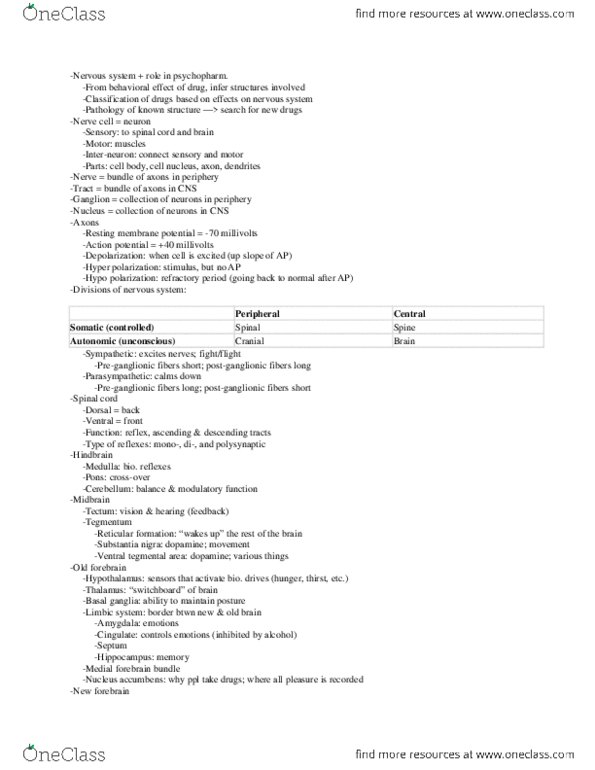 PSY 315 Lecture Notes - Lecture 5: Preganglionic Nerve Fibers, Postganglionic Nerve Fibers, Cell Nucleus thumbnail